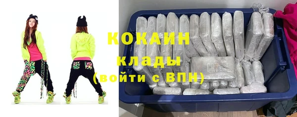 дурь Карпинск