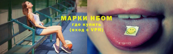 сатива Кинешма