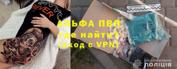 сатива Кинешма