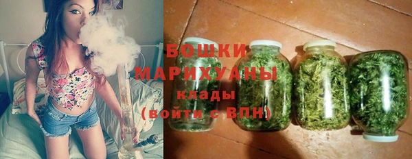 ПСИЛОЦИБИНОВЫЕ ГРИБЫ Карталы