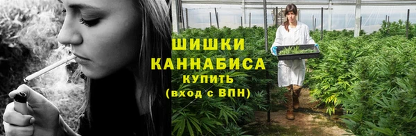 шишки Касимов