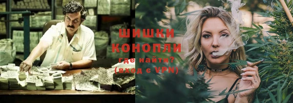 ПСИЛОЦИБИНОВЫЕ ГРИБЫ Карталы