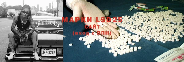 дурь Карпинск