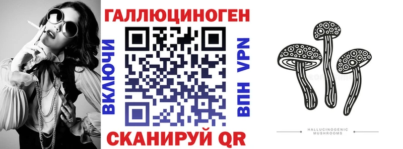 Псилоцибиновые грибы GOLDEN TEACHER  omg ONION  Малгобек 