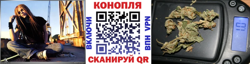 Шишки марихуана планчик  где купить наркотик  Малгобек 